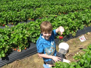 Gabe picking a ripe one
