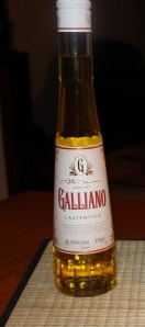 Galliano2