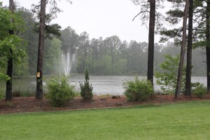Angus Barn Pavilion lake