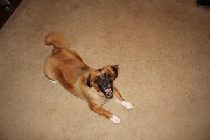 Lillie's new haircut