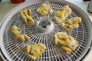 place on food hydrator tray