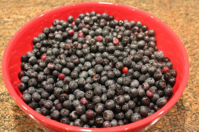 fresh organic blueberries