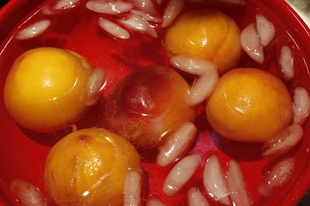 Peaches in icebath