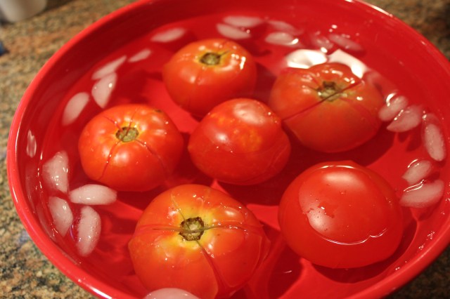 Place tomatoes in icebath