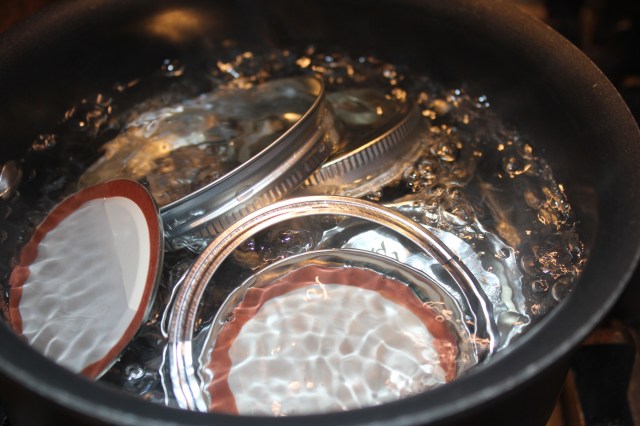 Simmer lids and seals