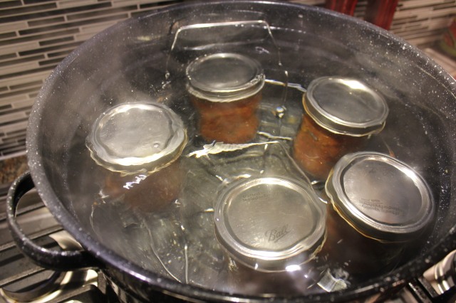 Process Salsa in water canner