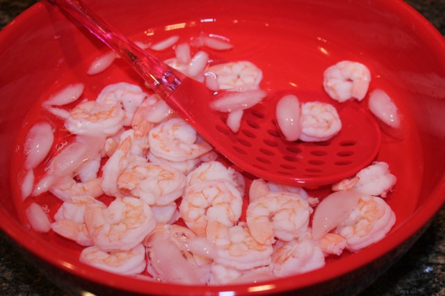 Place shrimp in icebath