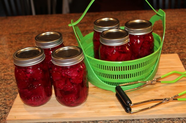 Beets ready to be canned