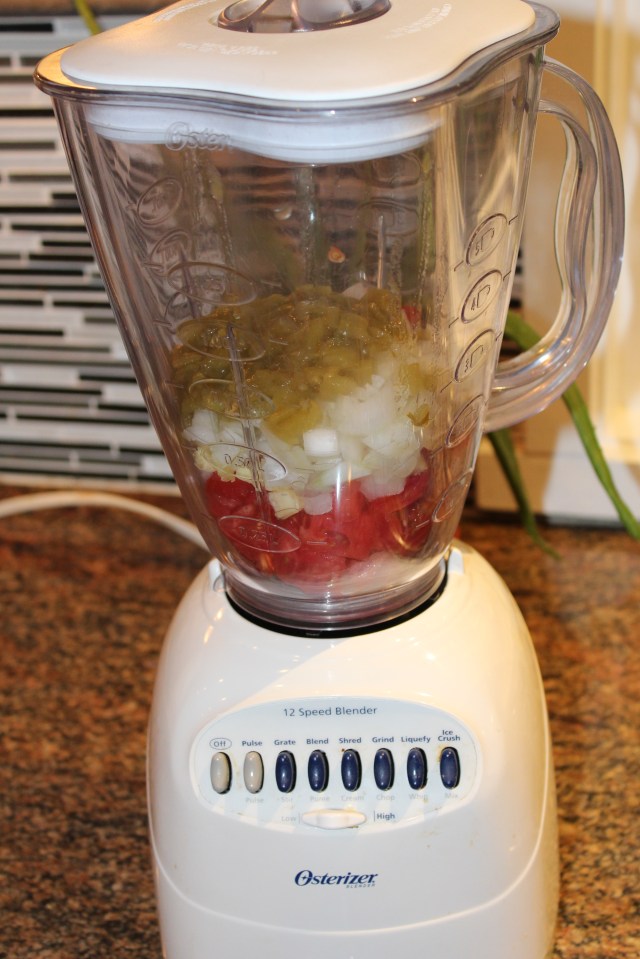 Tomatoes, chiles, onion, and garlic in blender