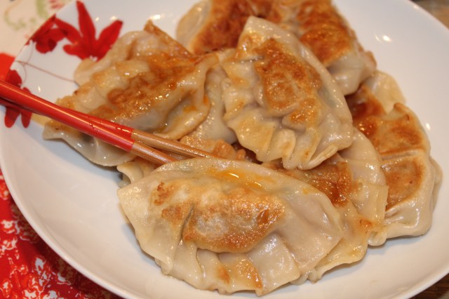 kels-cafe-pot-stickers-up-close
