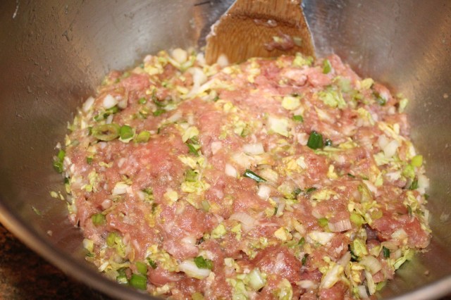 mix-pork-cabbage-etc-for-kels-pot-sticker-filling