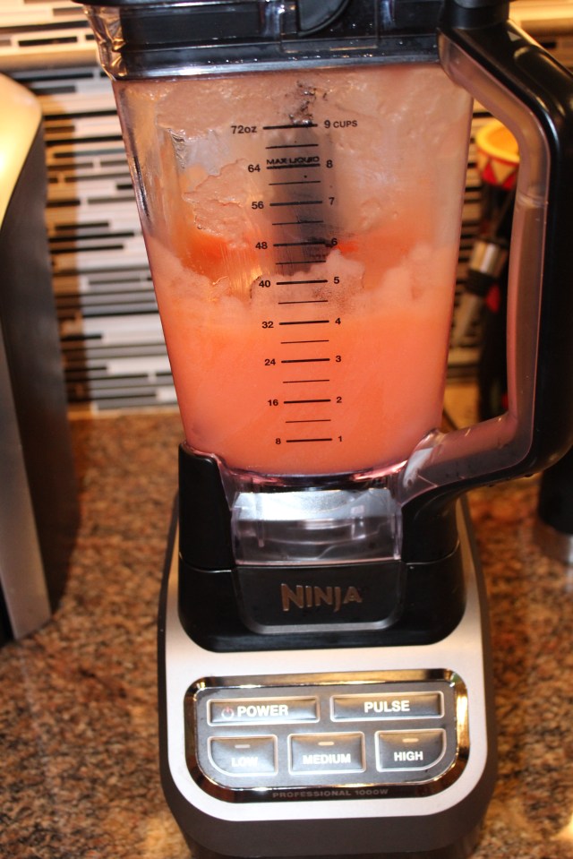 Blending Kel's frozen Negroni