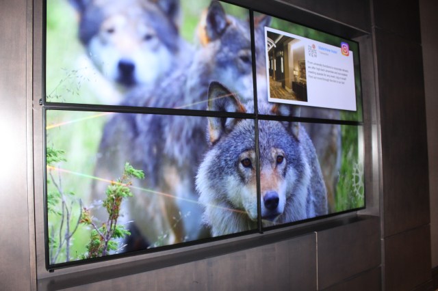 What's going on, State View