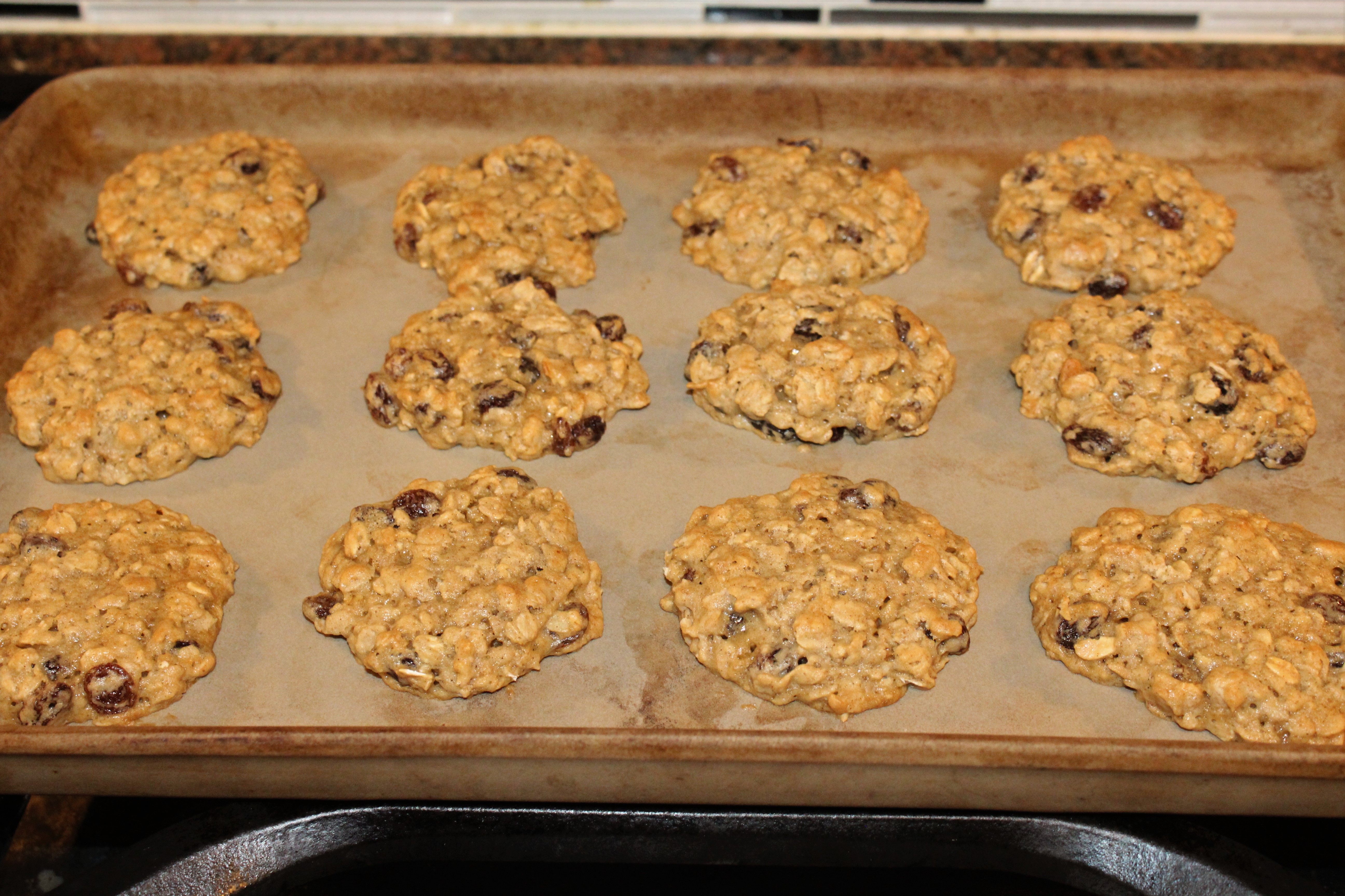 oatmeal cookies on stone